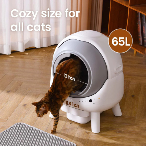 Orbitie