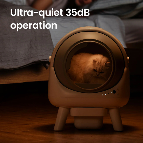 Orbitie
