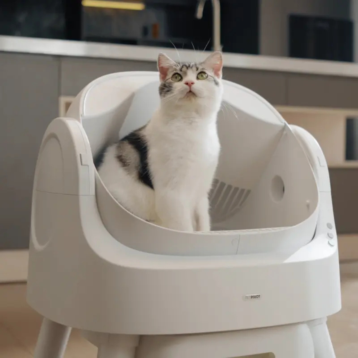 PetPivot Auto Scooping Litter Box
