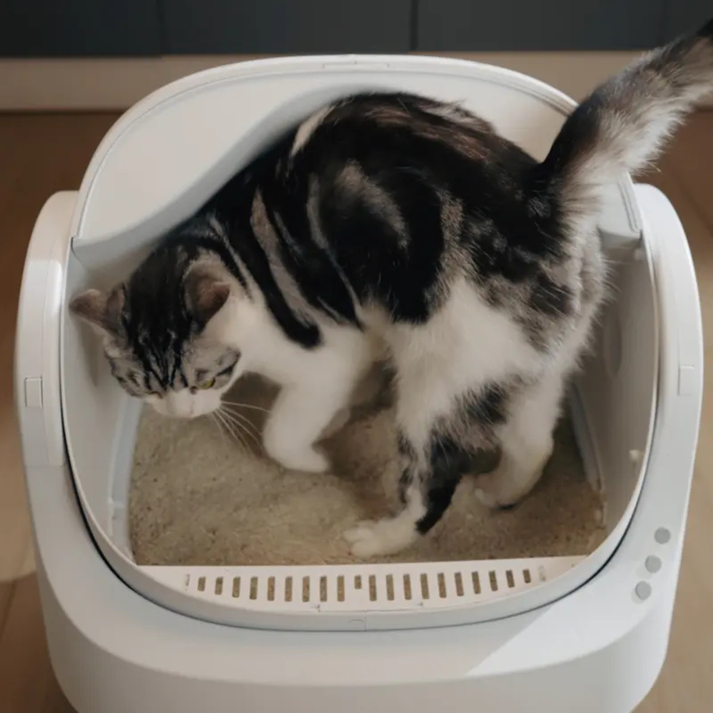 PetPivot Auto Scooping Litter Box
